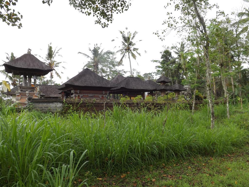 Uma Nandhi Ubud Natural Cottage Exterior photo