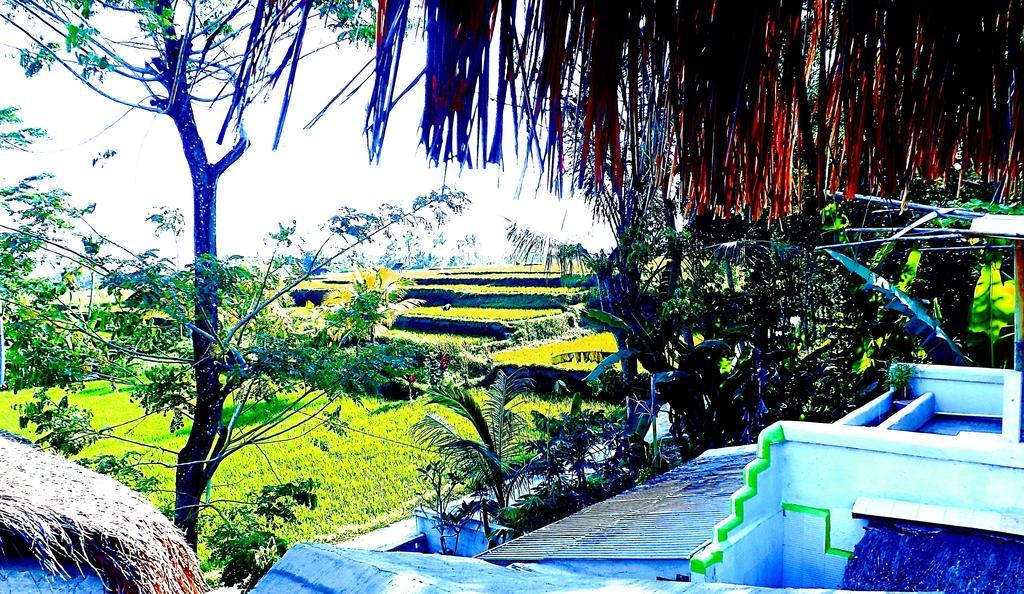 Uma Nandhi Ubud Natural Cottage Exterior photo