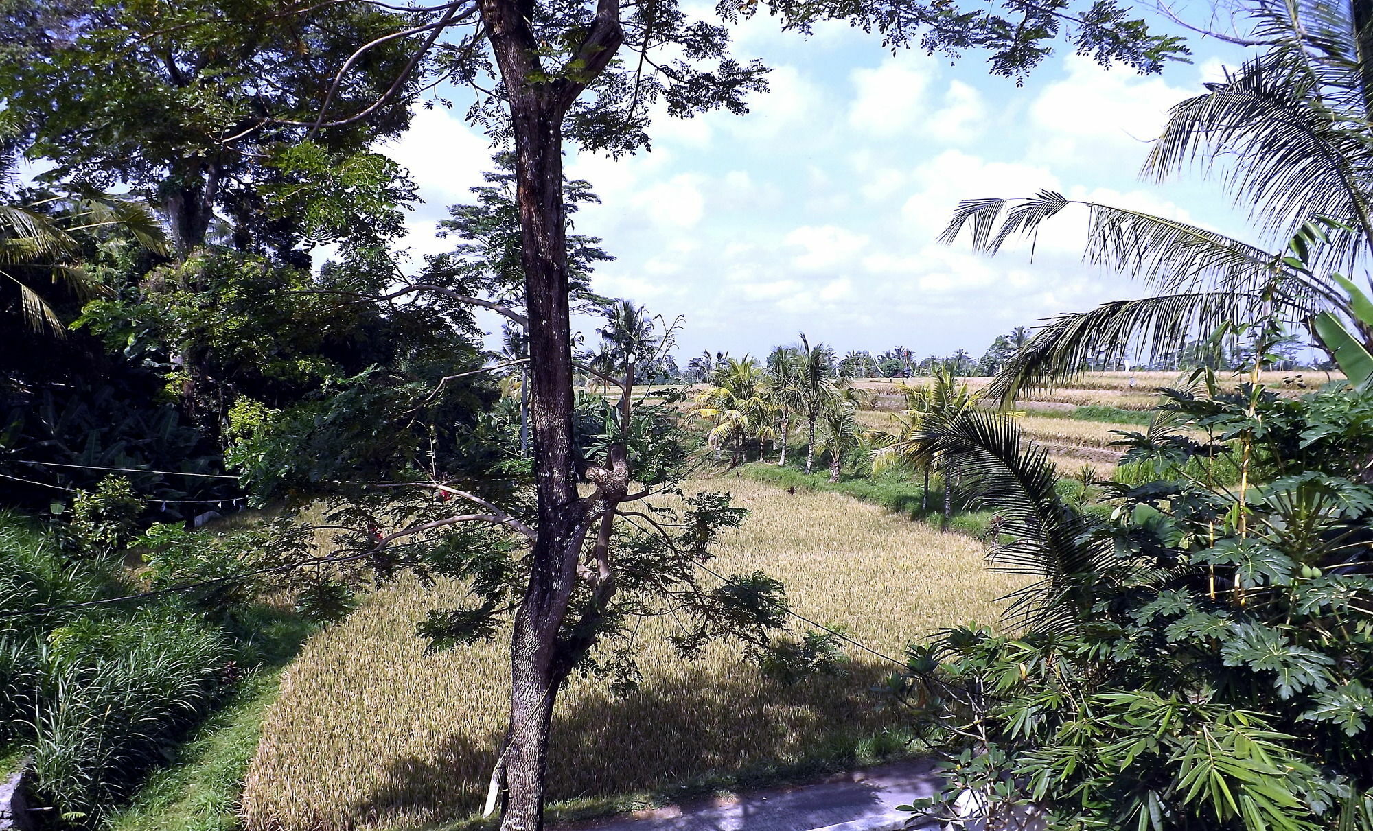 Uma Nandhi Ubud Natural Cottage Exterior photo