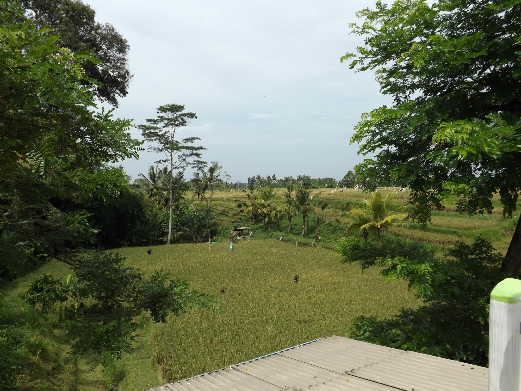 Uma Nandhi Ubud Natural Cottage Exterior photo